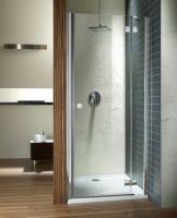 Душевая дверь Radaway Almatea DWJ L/R 100x100 см 31202-01-01N