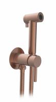 Встраиваемый смеситель с гигиеническим душемAltroBagno Modern 060123 BC