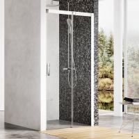 Душевая дверь Ravak Matrix MSD2-120 120 см 0WPG0100Z1