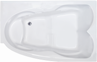 Акриловая ванна Royal Bath Shakespeare RB652100K-R 170x110 см