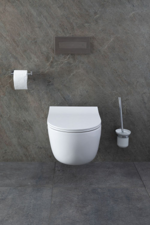 Фото унитаз с инсталляцией allen brau priority 00316509