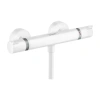 Термостатический смеситель для душа Hansgrohe Ecostat Comfort 13116700