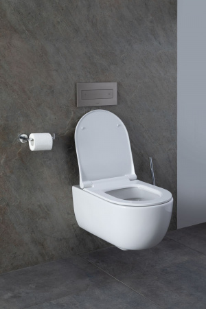 Фото унитаз с инсталляцией allen brau priority 00316508