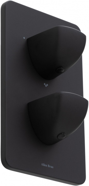 Фото смеситель для ванны allen brau infinity 5.21316-31 черный матовый