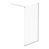 Душевая стенка AM.PM Func 110x200 см W84WI-110-F1-MTE