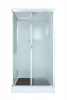 Душевая кабина DTO 120x90 см D129SEL с электрикой