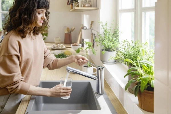 Фото смеситель для кухонной мойки hansgrohe zesis 74806000