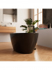 Фото акриловая ванна frank 6123 170x81 см 12526