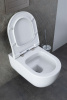 Фото унитаз с инсталляцией allen brau priority 00316508