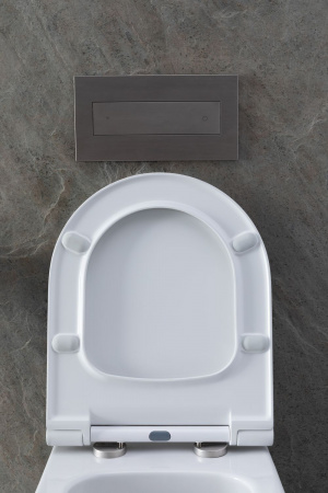 Фото унитаз с инсталляцией allen brau priority 00316508