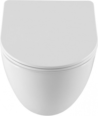 Фото унитаз с инсталляцией allen brau priority