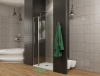Фото душевая дверь allen brau priority 120 3.31009.bba
