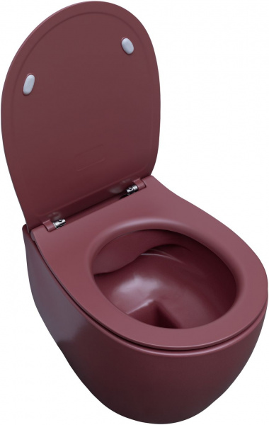 Фото унитаз подвесной allen brau fantasy 4.11004.bd