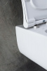 Фото унитаз с инсталляцией allen brau priority 00316508