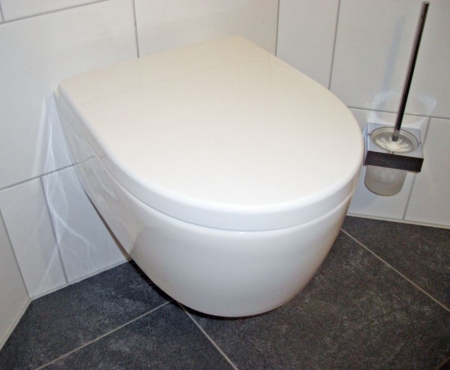 Фото унитаз подвесной geberit icon 53 см 204060000