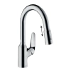 Смеситель для кухонной мойки Hansgrohe Focus 71821000