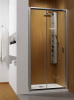 Душевая дверь Radaway Premium Plus DWJ 110 см 33302-01-06N