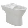 Унитаз напольный BelBagno Lounge BB045CPR