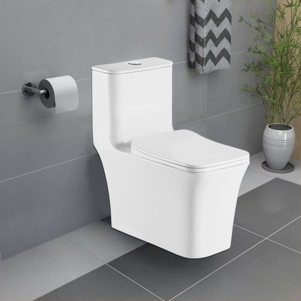 Фото унитаз напольный azario gressa az-1111-g