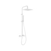 Душевая стойка Webert Pegaso PE980507740METAL