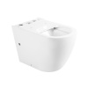 Унитаз напольный BelBagno Sfera-R BB2141CPR