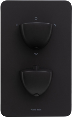Фото смеситель для ванны allen brau infinity 5.21316-31 черный матовый