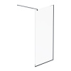 Душевая стенка AM.PM Func 100x200 см W84WI-100-F1-BTE