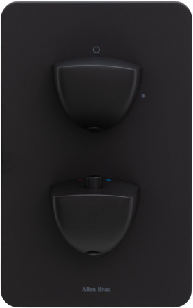 Фото смеситель для душа allen brau infinity 5.21116-31 черный матовый