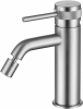 Смеситель для биде Allen Brau Priority 5.31A04-BN