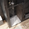Фото душевая дверь am.pm gem 100 см w90g-100-1-195bt
