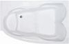 Акриловая ванна Royal Bath Shakespeare RB652100K-R 170x110 см