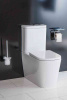 Фото унитаз напольный belbagno albano bb120cpr