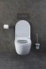 Фото унитаз с инсталляцией allen brau priority 00316508