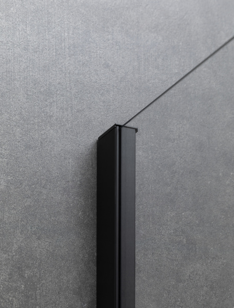 Фото душевая дверь allen brau priority 120 3.31009.bba