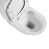 Фото унитаз-компакт black&white 61 см w-7793