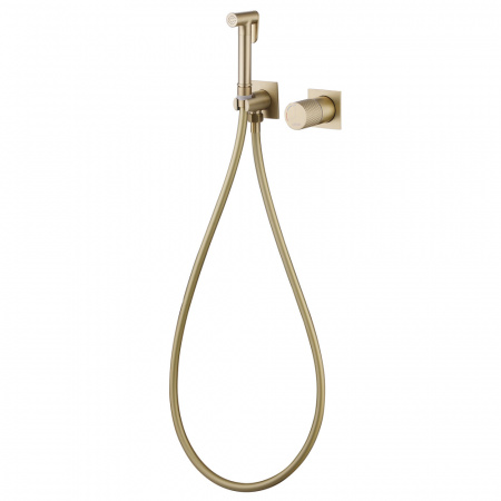 Фото смеситель с гигиеническим душем abber rund af8725g